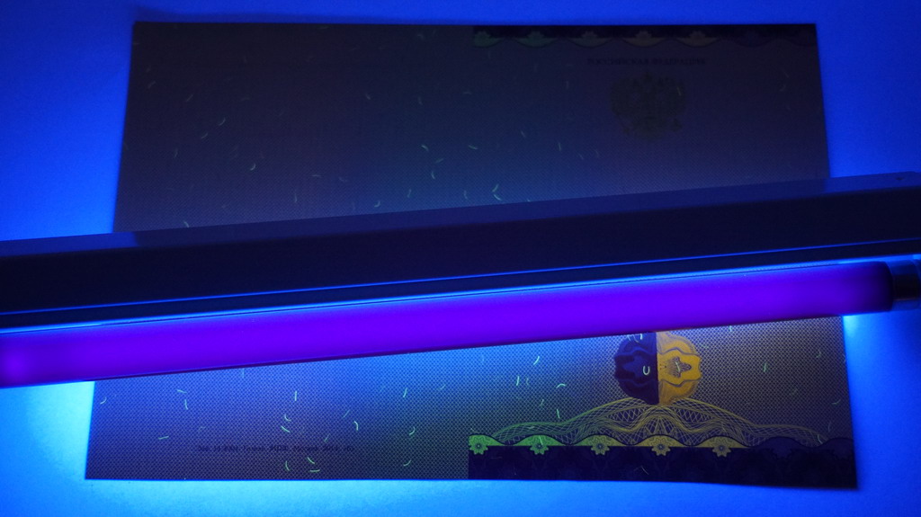 Аттестат 9 классов 2014-2026 Фото