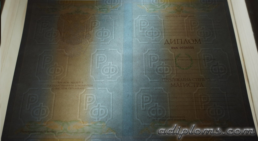 Диплом магистра 2004-2009 Фото